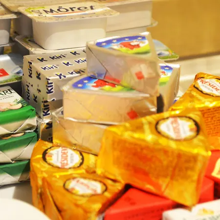 Windsor 酒店 巴黎